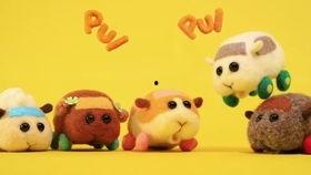 天竺鼠车车,萌宠出行新潮流  第3张