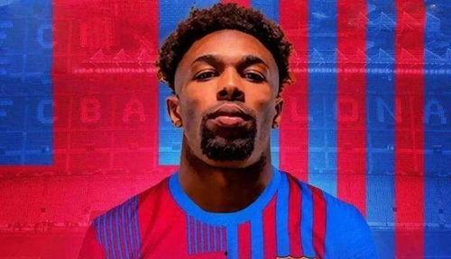 贝内尔和阿达玛,探索数学与逻辑的璀璨星河  第3张