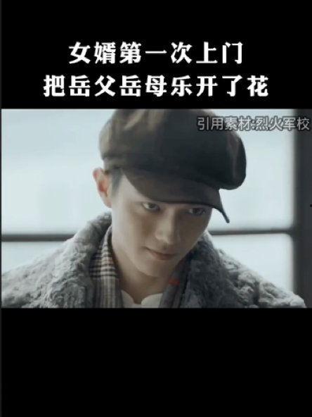 上门虎婿,逆袭之路，爱情与权力的较量  第3张