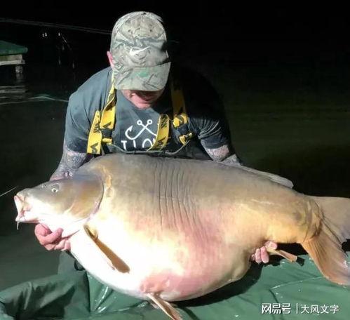 重生成鱼气哭钓鱼佬,一场奇妙的钓鱼奇遇  第3张