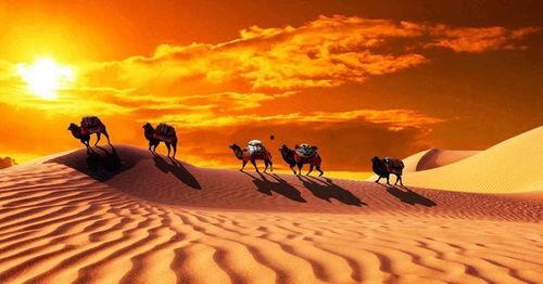 攀登之墙-争金之路,中国运动员的争金之路