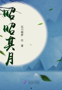 昭昭明月入君怀,昭昭情深 第2张 昭昭明月入君怀,昭昭情深 第2张