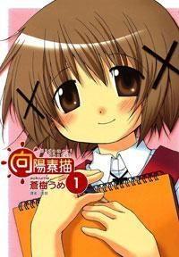 向阳素描,描绘美好生活的艺术画卷