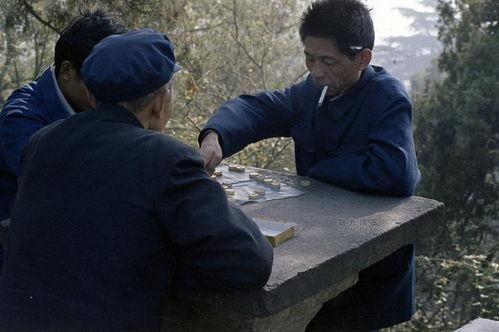 陆总别虐了，夫人已下葬,夫人安息，永世相伴  第3张