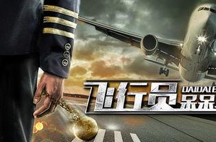 飞行员呆呆鸟,翱翔蓝天中的独特身影 第3张 飞行员呆呆鸟,翱翔蓝天中的独特身影 第3张